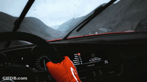A Person Wearing A Red Glove Driving A Car GIF