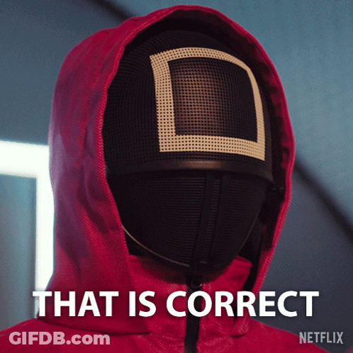 A Person Wearing A Red Hoodie And A Mask That Says " That Is Correct " On It GIF
