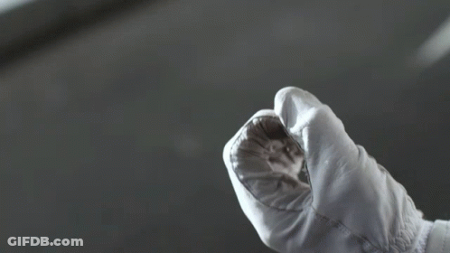 A Person Wearing A White Glove Is Holding A Small Object GIF