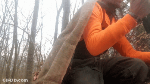 A Person Wearing An Orange Shirt And Black Pants Is Sitting In The Woods GIF