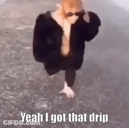 A Person Wearing Sunglasses And A Fur Coat Is Walking In The Water And Says Yeah I Got That Drip . GIF