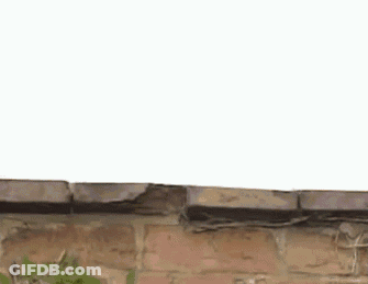 A Person Wearing White Gloves Is Reaching Over A Brick Wall With Their Hand . GIF