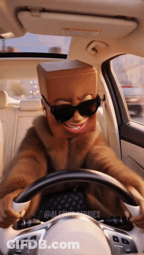 A Person With A Cardboard Box On Their Head Driving A Car GIF