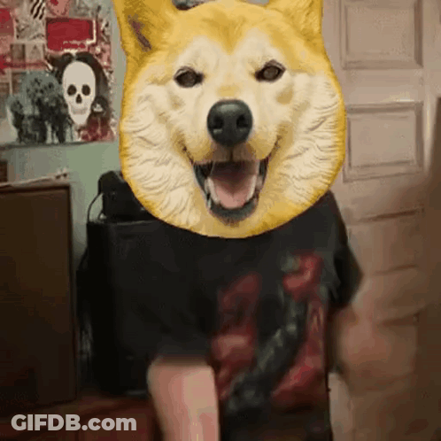 A Person With A Dog Head On Their Head GIF