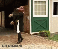 A Person With A Horse Head On Their Head GIF