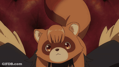 A Person With A Stuffed Animal On Their Head That Looks Like A Raccoon GIF
