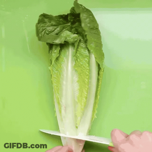 A Person With Red Nails Is Holding A Lettuce Leaf GIF
