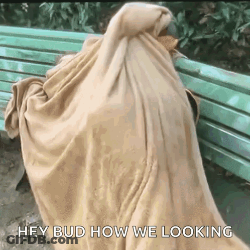 A Person Wrapped In A Blanket Sitting On A Bench With The Words Hey Bud How We Looking GIF
