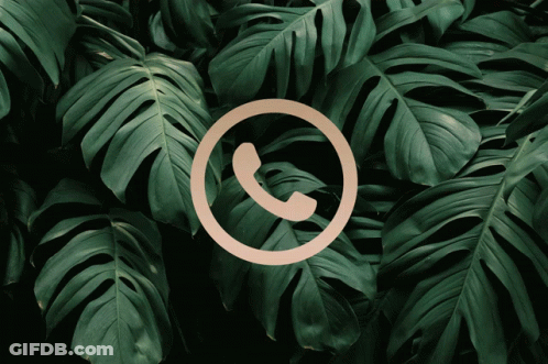 A Phone Icon Surrounded By Green Leaves GIF