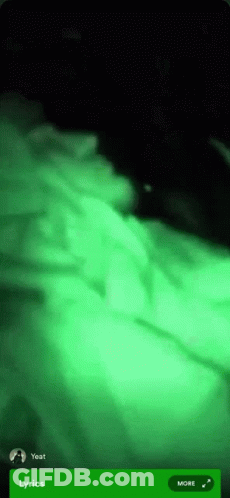 A Phone Screen With A Green Background And A Green Button That Says More GIF