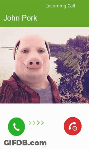 A Phone Screen With A Picture Of A Man With A Pig Head And The Name John Pork On It GIF