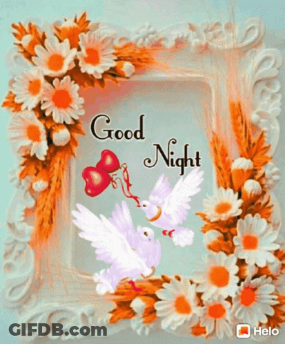 A Picture Frame With Flowers And Birds And The Words " Good Night " GIF