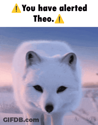 A Picture Of A Arctic Fox With The Words You Have Alerted Theo GIF