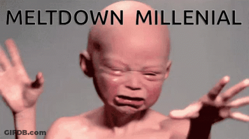 A Picture Of A Baby Crying With The Words Meltdown Millenial Above It GIF
