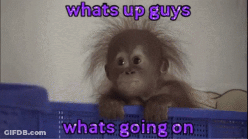 A Picture Of A Baby Monkey With The Words Whats Up Guys What 'S Going On GIF