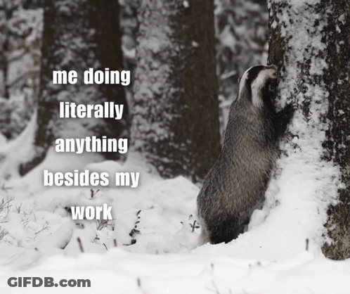 Badger In Snow Saying Doing Anything Besides Work GIF