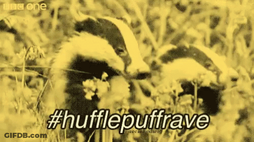 Badger With Hufflepuff Rave Text GIF