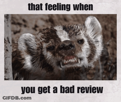 Badger With Feeling When You Get Bad Review GIF