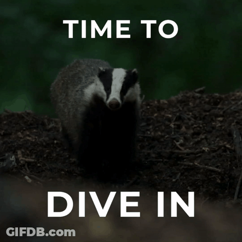 Badger With Time To Dive In Text GIF