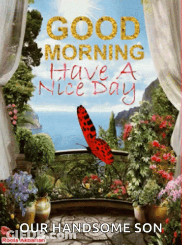 A Picture Of A Balcony With Flowers And A Butterfly Says Good Morning Have A Nice Day GIF