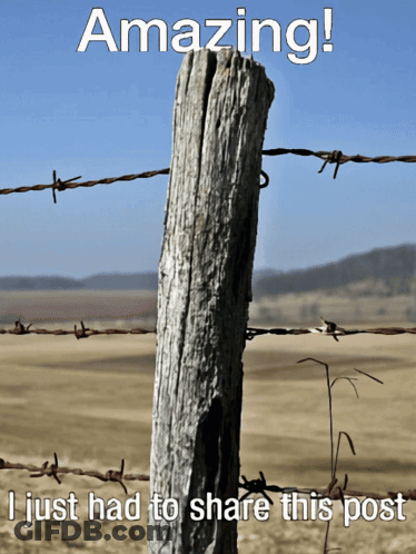 A Picture Of A Barbed Wire Fence With The Caption Amazing GIF