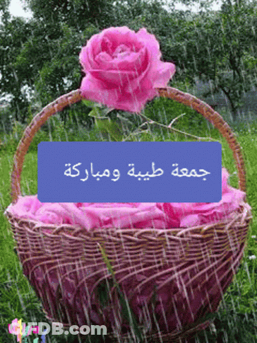 A Picture Of A Basket Of Pink Roses With Arabic Writing On It GIF