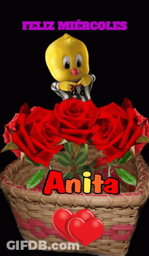 A Picture Of A Basket Of Red Roses With The Name Anita GIF