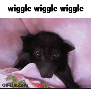 A Picture Of A Bat With The Words Wiggle Wiggle Wiggle On The Bottom GIF