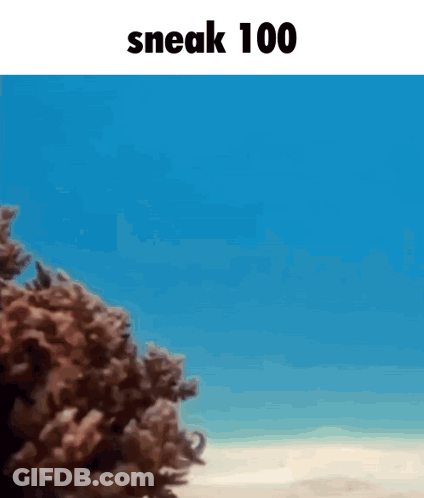 A Picture Of A Beach And The Words Sneak 100 GIF