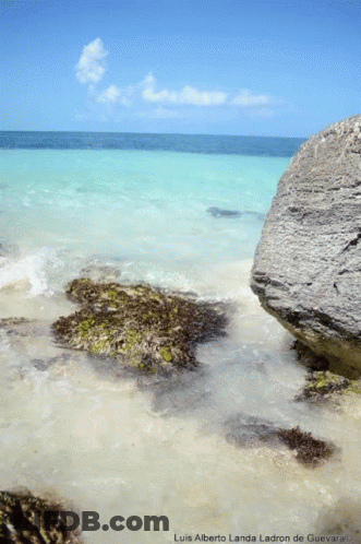 A Picture Of A Beach Taken By Luis Alberto Landa Ladron De Guevara GIF