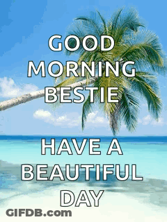 A Picture Of A Beach With A Palm Tree And The Words `` Good Morning Bestie Have A Beautiful Day '' . GIF