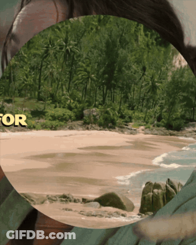A Picture Of A Beach With The Word Survivor In Yellow GIF