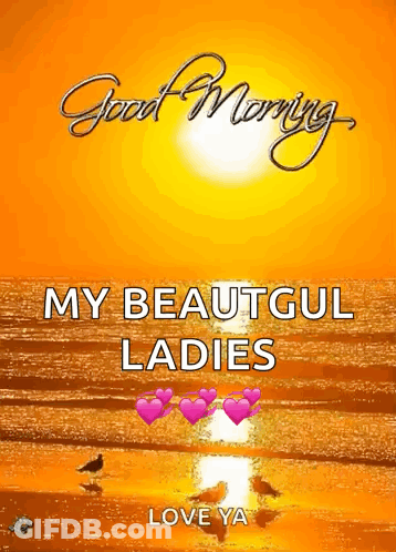 A Picture Of A Beach With The Words " Good Morning My Beautiful Ladies Love Ya " GIF