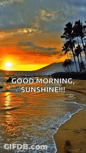 A Picture Of A Beach With The Words Good Morning Sunshine On It GIF