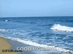 A Picture Of A Beach With The Words " Good Morning " Written On It GIF