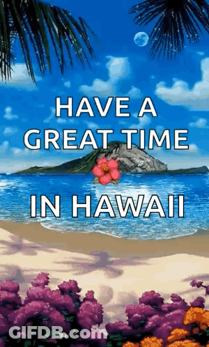 A Picture Of A Beach With The Words Have A Great Time In Hawaii On It . GIF