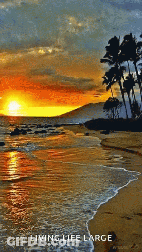 A Picture Of A Beach With The Words Living Life Large GIF