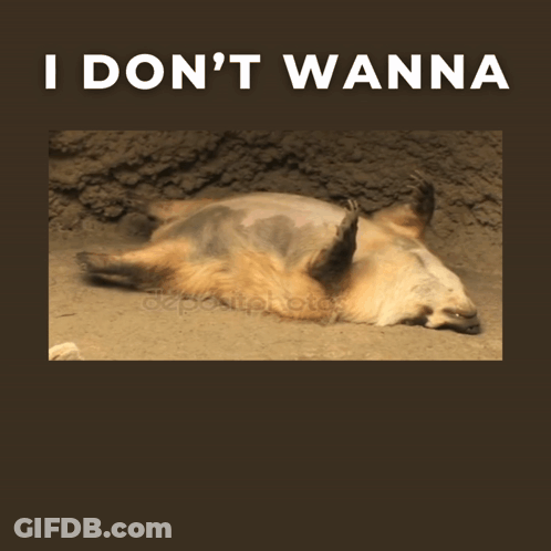 Bear Lying On Back Saying I Don't Wanna GIF