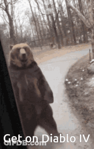 A Picture Of A Bear Standing On Its Hind Legs With The Words Get On Diablo Iv On The Bottom GIF