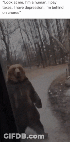 A Picture Of A Bear With A Caption That Says " Look At Me I 'M A Human GIF