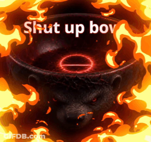 A Picture Of A Bear With The Words " Shut Up Boy " Above It GIF