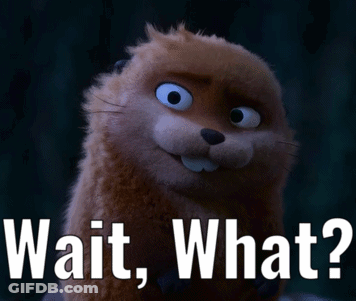 A Picture Of A Beaver With The Words Wait What On It GIF
