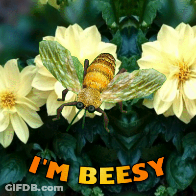 A Picture Of A Bee With The Words I 'M Beesy Underneath It GIF
