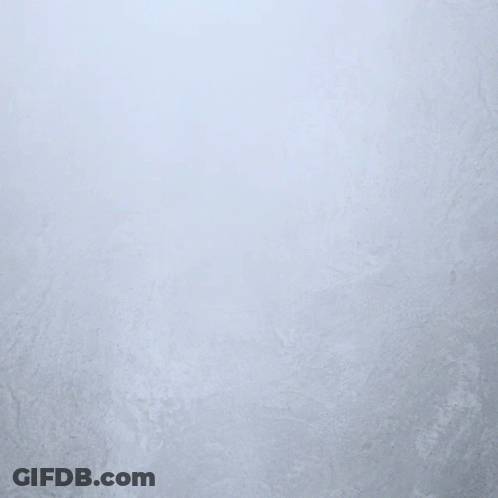 A Picture Of A Bee With The Words Meant To Behind It GIF