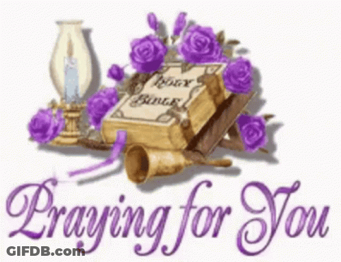 A Picture Of A Bible Surrounded By Purple Roses And The Words Praying For You . GIF