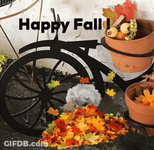 A Picture Of A Bicycle With The Words Happy Fall GIF