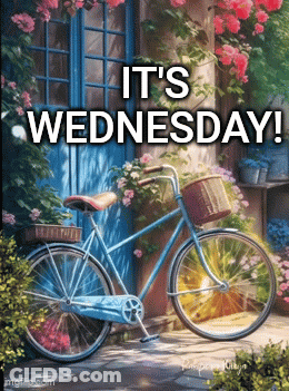 A Picture Of A Bicycle With The Words " It 'S Wednesday " On It GIF