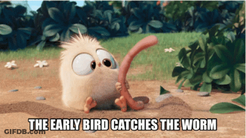 A Picture Of A Bird Catching A Worm With A Caption Saying The Early Bird Catches The Worm GIF