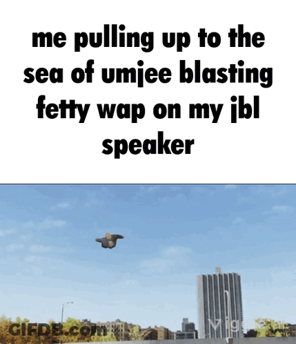 A Picture Of A Bird Flying In The Sky With The Words Me Pulling Up To The Sea Of Umjee Blasting Fetty Wap GIF