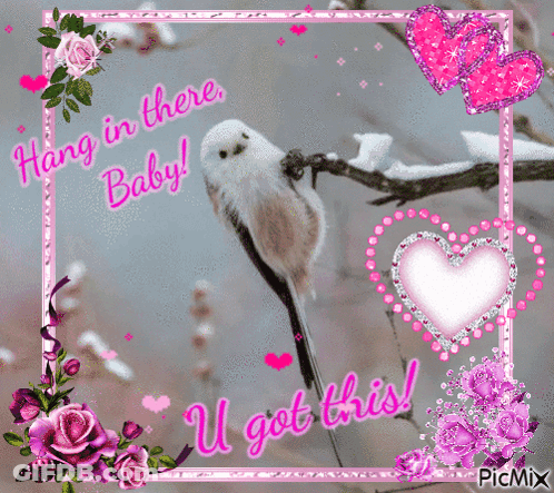 A Picture Of A Bird On A Branch With The Words Hang In There Baby GIF